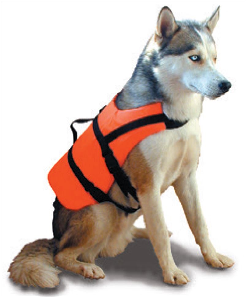 Schwimmweste für Hunde